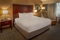 Crowne Plaza St. Louis Airport - The standard room with a king bed includes a work desk, and 37 inch flat screen TV.