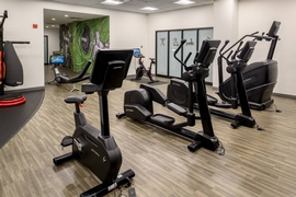 Hilton St. Louis Airport - Keep up with your gym routine in the hotel's 24 hour fitness center. 