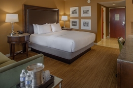 Hilton St. Louis Airport - The standard king room.