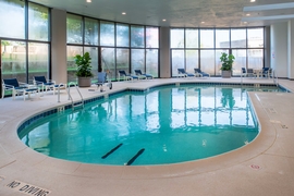 Hilton St. Louis Airport - Take a dip in the hotel's indoor pool. 