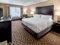 Holiday Inn Hotel & Suites Milwaukee Airport - The standard king room includes complimentary WiFi. 