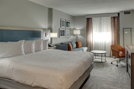 Hampton Inn & Suites Miami Airport South Blue Lagoon - The standard king room includes complimentary WiFi. 
