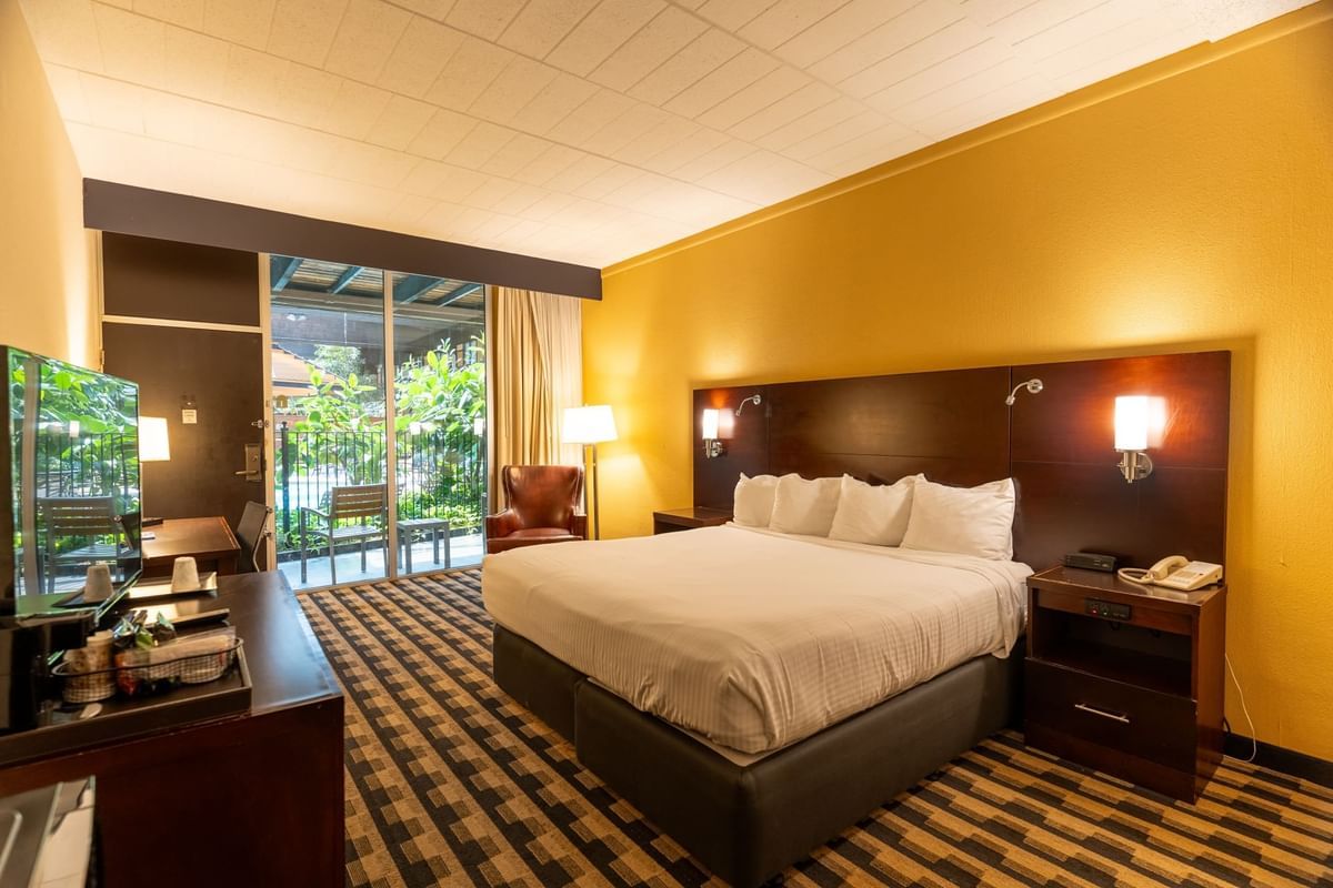 M Hotel Buffalo - The standard king room includes complimentary WiFi.