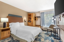 Hampton Inn Tampa Airport Westshore - The standard king room includes complimentary WiFi. 